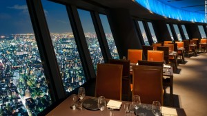 tokyo restaurant view